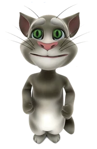 2010 Talking Tom 