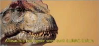 Allosaurus BS check