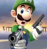 gun luigi
