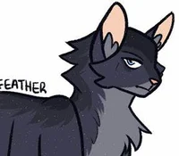 Crowfeather