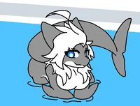 Female shark furry