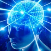FanTheories