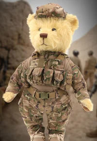 commander teddy