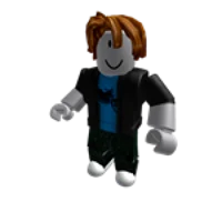 Roblox Bacon Hair