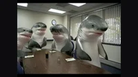 Bulgarian Sharks