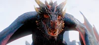 Drogon 