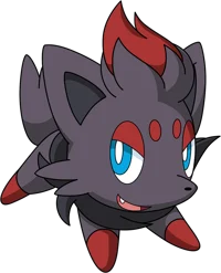 Zorua