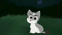 Moonkitti