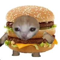 Burger kitteh
