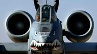 A-10 Thunder bolt