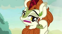 Autumn Blaze