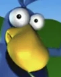 Dodo internet