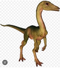compsognathus