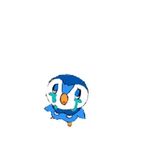 piplup up to adopt