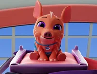 Tara