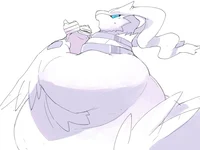 reshiram gordita