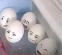 Roblox Eggs