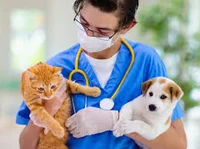 Veterinario