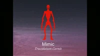 Mimic