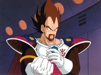 King Vegeta