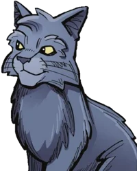 graystripe