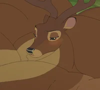 Prince of the Forest