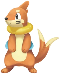 Buizel