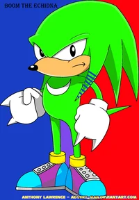 Boom the echidna 