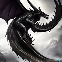 smart black dragon