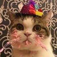 Capitan Gato -ByDCUT