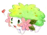 Shaymin hermosa