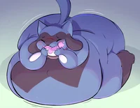 riolu gordita