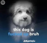 Fucked Up Dog