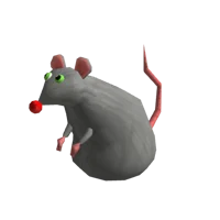 Rat