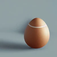 Egg
