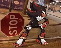 Shadow the hedgehog 
