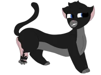 Cinderpelt