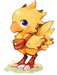 chocobo tierno