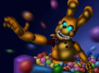 itp Spring Bonnie