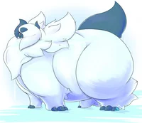 absol gordita