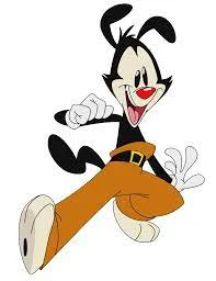 Yakko
