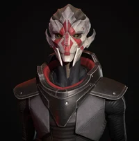 The Turian Survivor