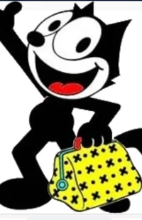Felix the cat