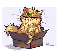 Cat Dio