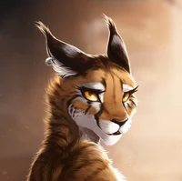 Ahnassi