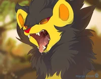 Samuel the Luxray