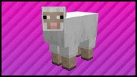 minecraft sheep