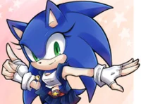 Sonica The Hedgehog
