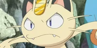 Evil Meowth