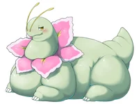 meganium gordita